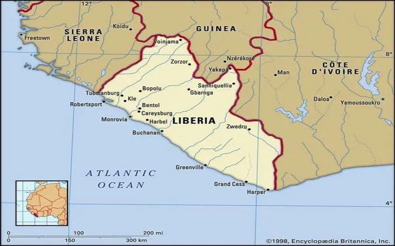 A Comprehensive Guide to Liberica Coffee Beans: Origin, Flavor, and Cultivation History
