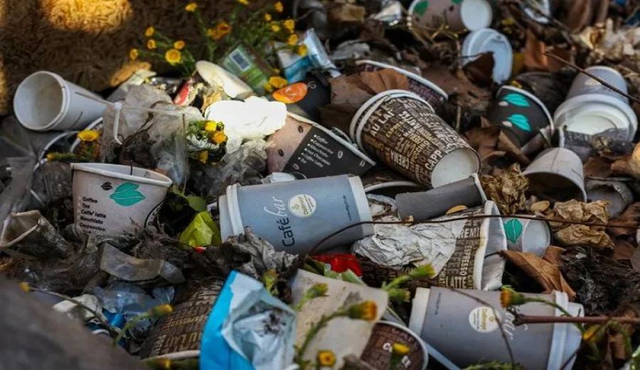 The astonishing amount of single-use cups used by Japanese coffee chains: How 370 million cups impact the environment?