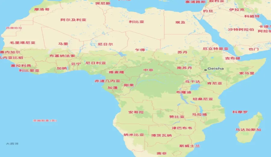 Flavor Analysis of Burundi, Cameroon, and DR Congo Coffee Beans | A Complete Guide to Planting History and Distinct Varieties