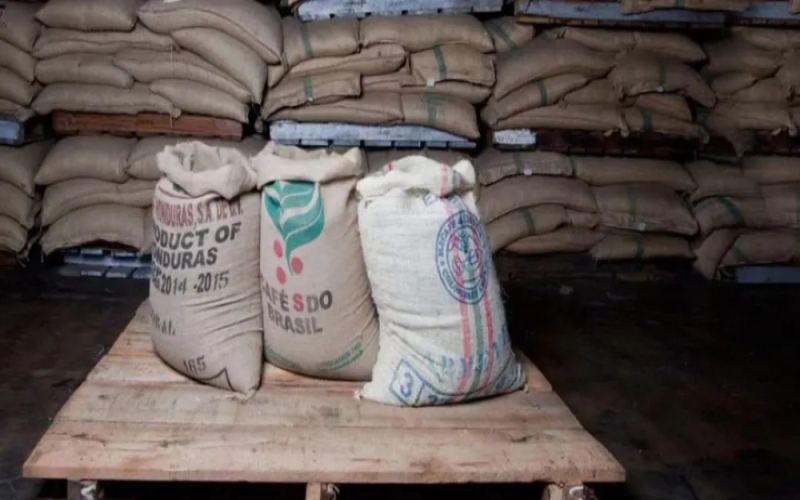 Climate Change Savior in Coffee? Rediscovering Liberica (Large-Fruit Variety) and the Excelsa Mutant