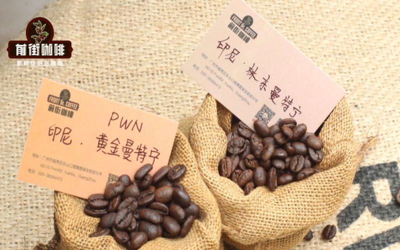 Sumatra Golden Mandheling G1 Washed Beans: A Complete Guide to Regional Flavors, Wet-Hulling Process, and Pour Over Brewing