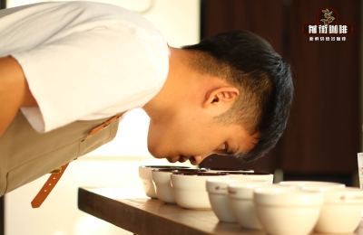 The Ultimate Guide to Coffee Cupping: A Professional Introduction from Steps to Flavor Evaluation