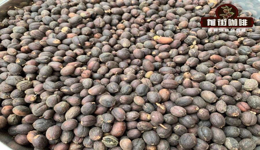 Yunnan Small Bean Coffee Beginner’s Guide: Recommended Pour Over & Espresso Beans for Newcomers