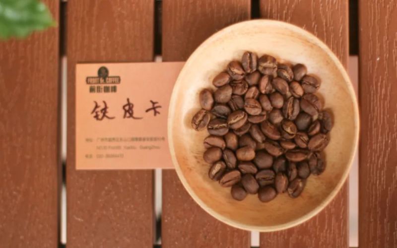 The Global Journey of Typica Coffee: From Ethiopia to Yunnan — What’s the Connection Between Blue Mountain and Yunnan Typica?