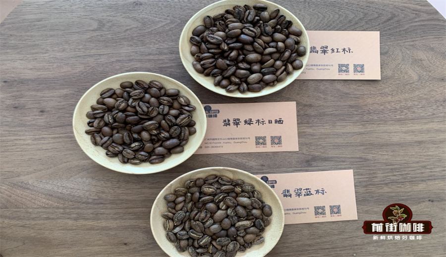 A Guide to Flavor Comparison and Selection of Geisha Coffee from Panama, Costa Rica, and Guatemala