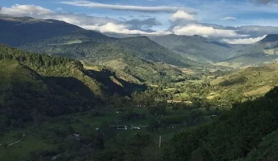 A Comprehensive Guide to Colombian Coffee Regions: Antioquia’s Zacatin and the Secrets of Micro-Farm Flavors