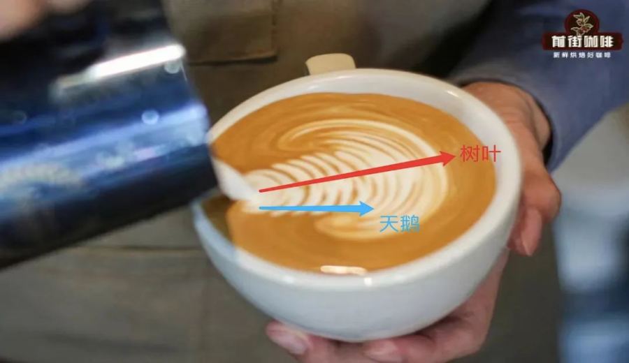 Espresso Latte Art Tutorial: Step-by-Step Guide from Basic Leaf to Elegant Swan Pattern