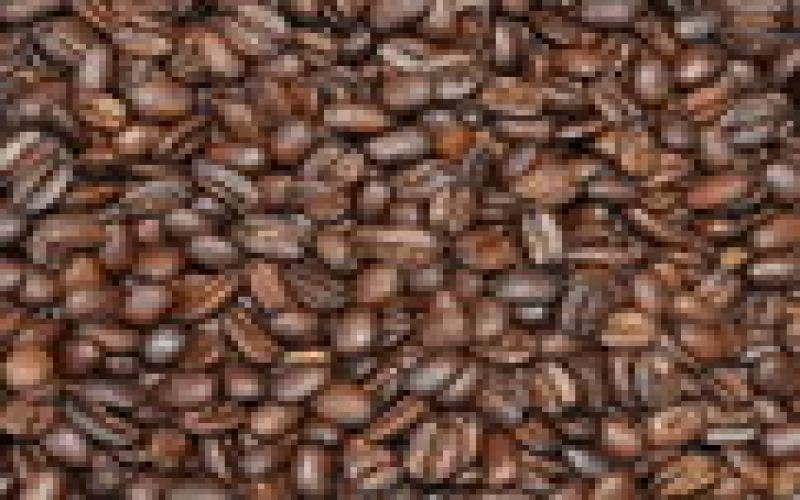 How to Brew Guatemala Antigua Coffee? Explore Volcanic Soil Flavors & Pour Over Tips