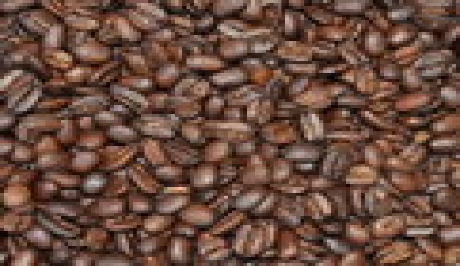 How to Brew Guatemala Antigua Coffee? Explore Volcanic Soil Flavors & Pour Over Tips