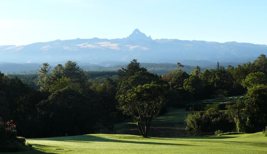 In-depth Analysis of Kenya Nyeri Dodoimo Coffee: Region, Processing Method, and Pour Over Parameters
