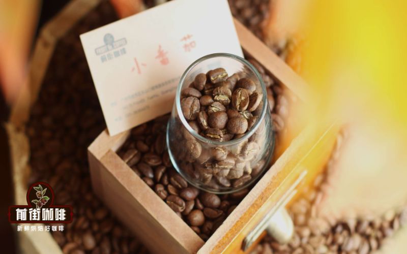 Why is Kenyan coffee so bright and acidic? A complete guide to origin, processing, and brewing