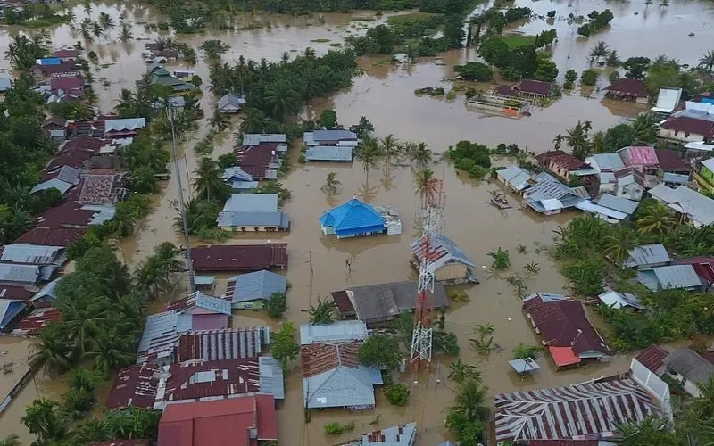 Heavy Rainfall Devastates Indonesian Coffee Regions: Production Crisis in Java and Sumatra and Government Response Strategies