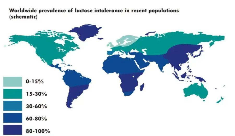 Lactose Intolerance vs. Malabsorption: The Truth About Chinese People’s Love for Milk Coffee & A Coffee Selection Guide