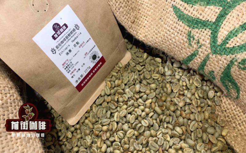 In-depth Tasting of Ethiopian Yirgacheffe Coffee: Exploring the 74158 Variety and Natural Process Flavors from Hamasho Village