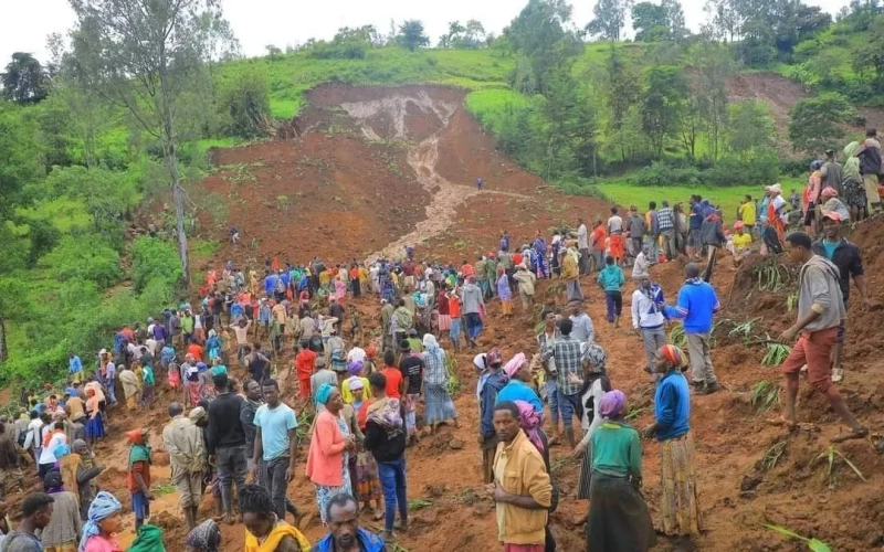 Landslide in Ethiopia’s Guji Zone Devastates Coffee Regions: Analysis of Production Crisis