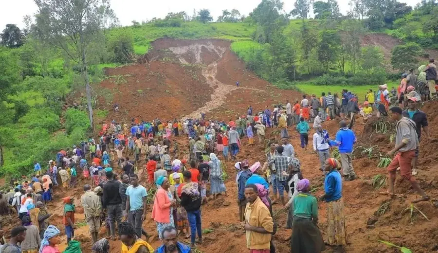 Landslide in Ethiopia’s Guji Zone Devastates Coffee Regions: Analysis of Production Crisis