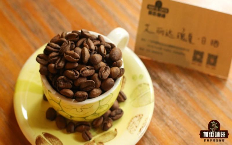 A Complete Guide to the Flavor Profile and Pour Over Brewing Techniques of Panama Elida Geisha