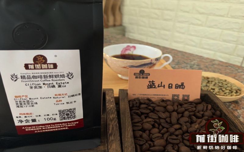 A Beginner’s Guide to Jamaican Blue Mountain Coffee: Exploring Origin, Grade, Processing Methods, and Pour Over Parameters