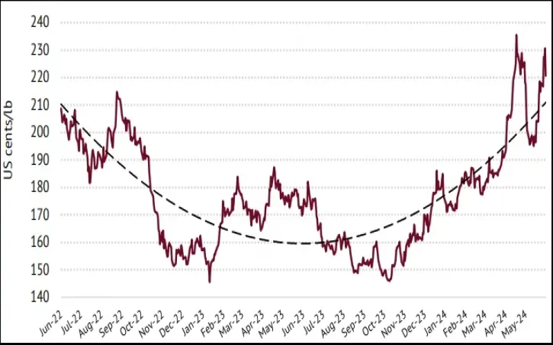 Global coffee production forecast for 2023/24 is 178 million bags – full analysis of price trends and inventory changes