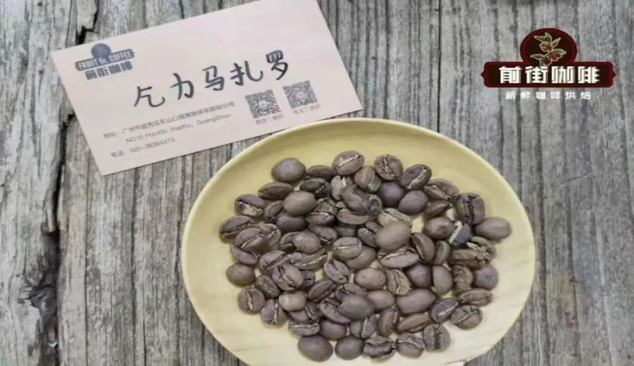 The Secrets of Tanzania Coffee Bean AA and AB Grades: A Complete Analysis of British Mesh Standards and Quality Differences