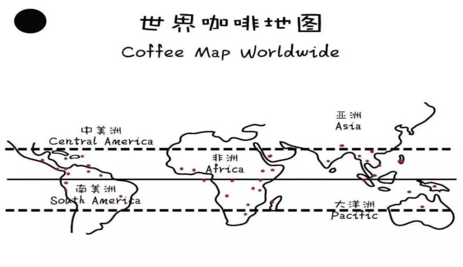 A Comprehensive Guide to Latin American Coffee Regions: From Brazil and Colombia to Niche Origins Like the Dominican Republic