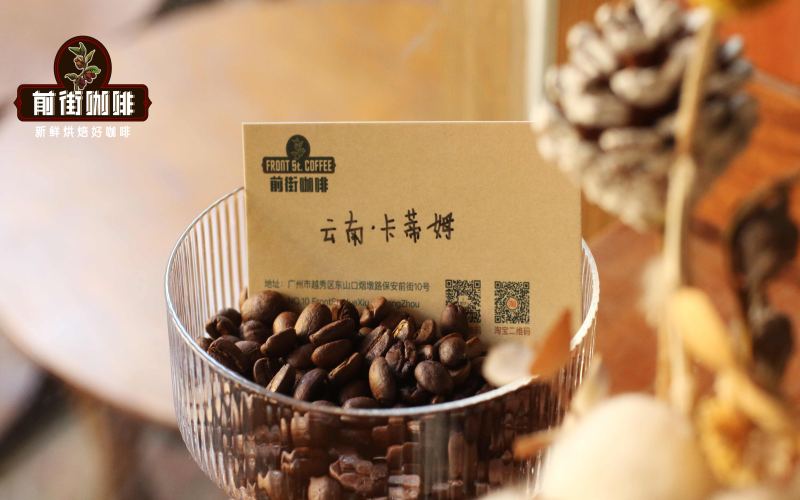 Yunnan Typica vs. Catimor Pour Over Battle: Regional Flavor Profiles, Processing Method Differences, and Optimal Extraction Parameters