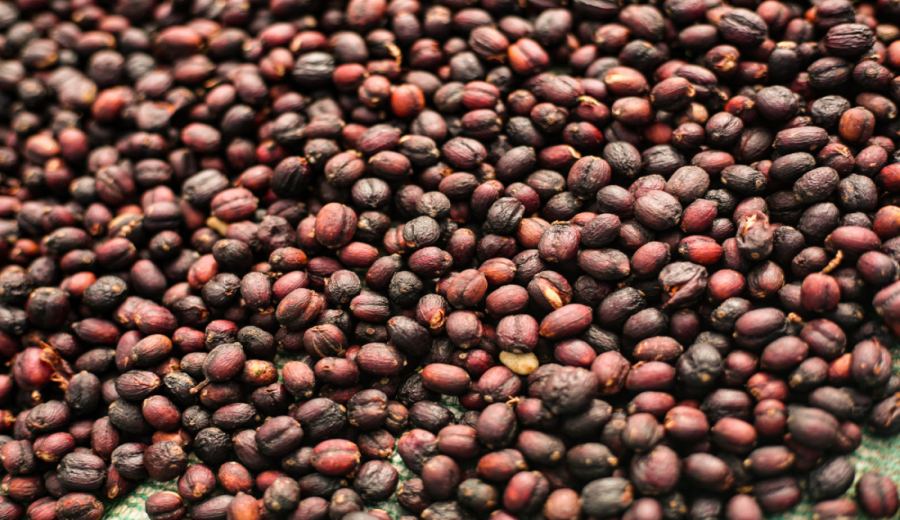 How to brew Ethiopian Guji Hambella Huagu Little Beans using pour over? Flavor differences and grind size recommendations