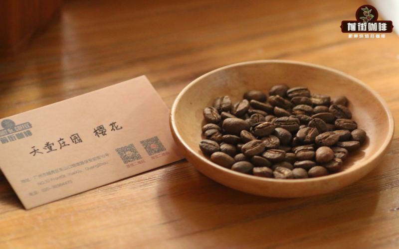 Colombia Paradise Estate Double Anaerobic Washed Coffee Beans: A Complete Guide to Varietal Analysis, Roasting Recommendations, and Pour Over Techniques