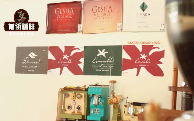 A Complete Guide to Panamanian Geisha: Varietal Characteristics, BOP Auctions & Jade Mountain Estate Flavor Selection