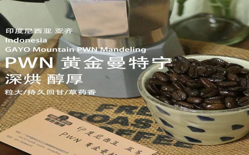 Recommended Indonesian Mandheling Coffee Beans | Flavor Differences Between Golden Mandheling and Lintong Mandheling & Brewing Tips