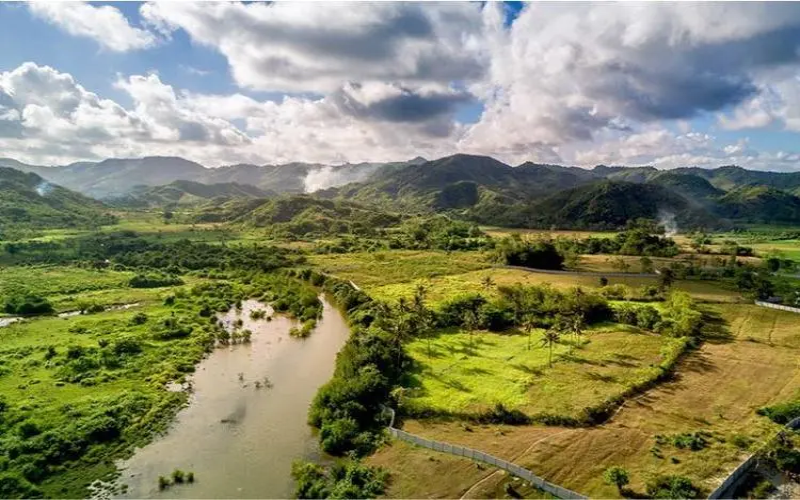 Complete Guide to Indonesian Coffee Regions: From Sumatra to Bali, Unveiling Mandheling Flavors and Origins