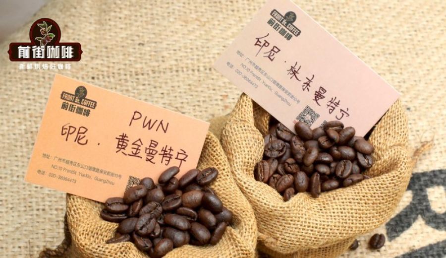 Pour Over Coffee Bean Buying Guide: A Comprehensive Analysis of Flavor, Budget, and Brewing Parameters
