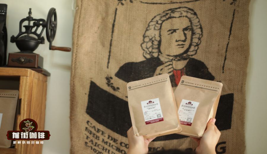 Flavor Profile and Pour Over Brewing Guide for Costa Rica Musician Series Coffee Beans