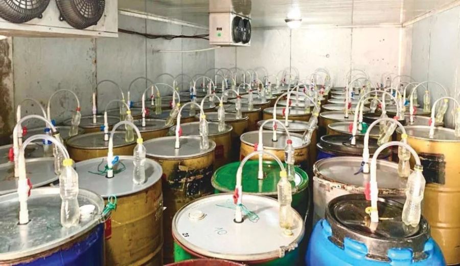 Analysis of Anaerobic Fermentation Coffee Processing: Flavor Differences and Three Major Techniques