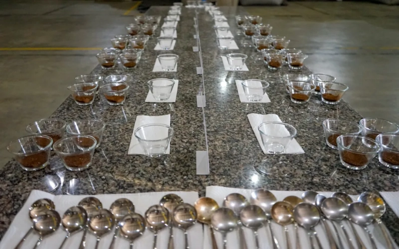 The 2024 Ethiopia COE Competition is Back: Analysis of Highlights in Natural and Washed Divisions and Auctions