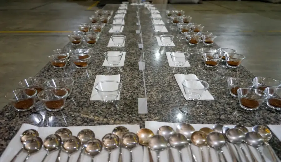 The 2024 Ethiopia COE Competition is Back: Analysis of Highlights in Natural and Washed Divisions and Auctions