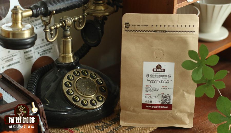 The Ultimate Guide to Guatemalan Coffee: Understanding SHB Grades and Exploring the Eight Major Growing Regions
