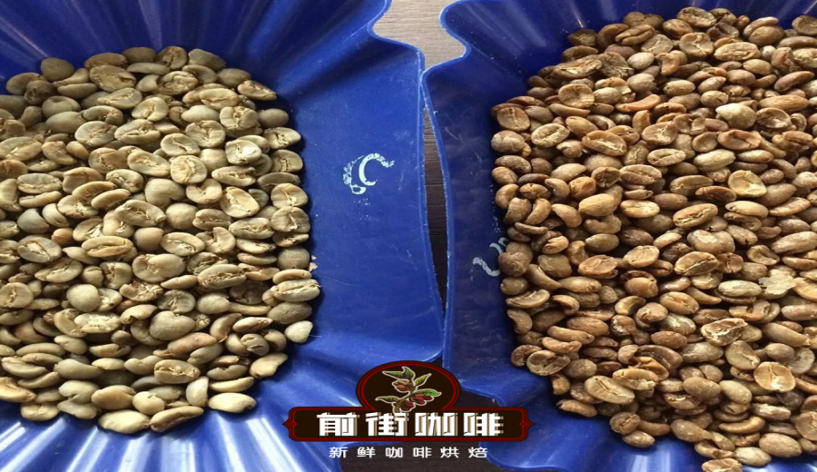 The Ultimate Guide to Indonesian Mandheling Coffee: Regions, Processing Methods, and Pour Over Parameters