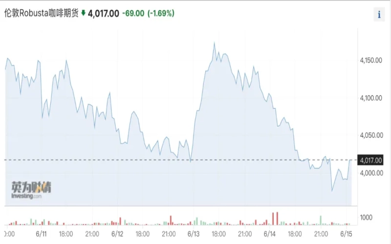 Vietnam's robusta coffee production plummets: How extreme weather and pepper competition impact global supply?