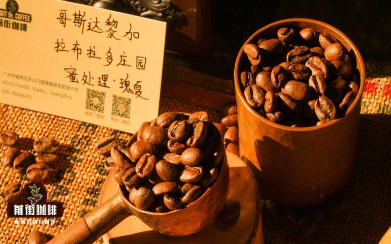 Costa Rica San Isidro Labrador Geisha Honey Process Beans: Pour Over Flavor Profile & Brewing Parameters