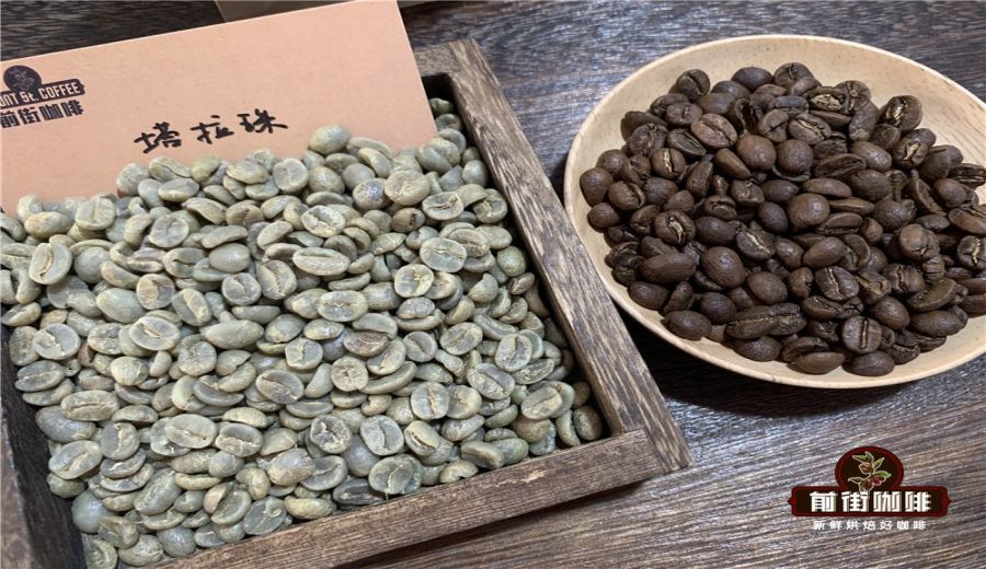 Complete Guide to Pour Over Brewing Costa Rica Tarrazú Coffee: Regional Characteristics, Varietal Analysis & Optimal Extraction Parameters