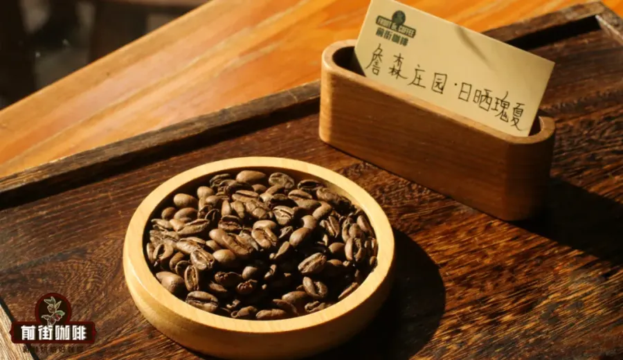 In-depth Analysis of Jensen Estate Geisha Beans: The Sun-Dried Flavors and Cultivation Secrets of a Panamanian BOP Contender