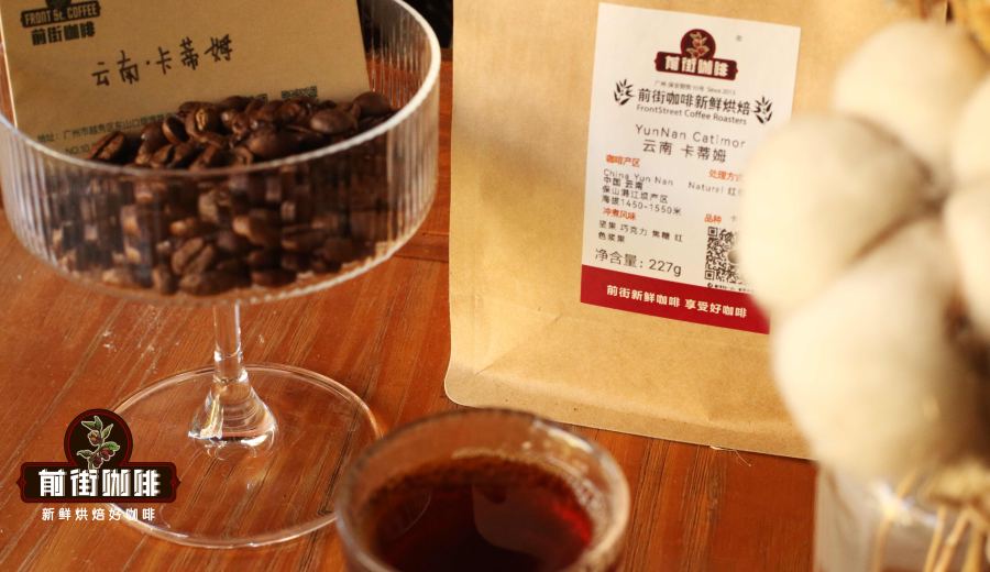A Complete Guide to Yunnan Small Bean Coffee Varieties: From Catimor to Typica — Explore Tasting & Brewing in One Go