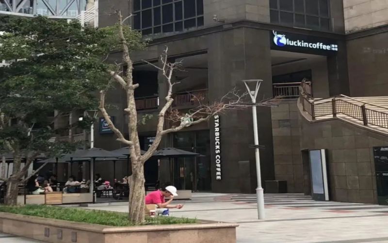 Luckin opens stores right next to Starbucks!
How affordable coffee breaks through with commercial district strategy?
