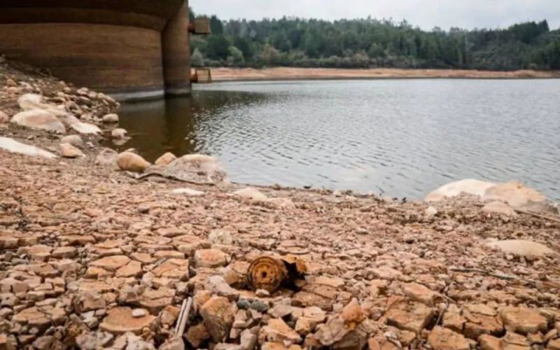 Colombia's drought and strikes: Coffee cultivation and exports face severe challenges