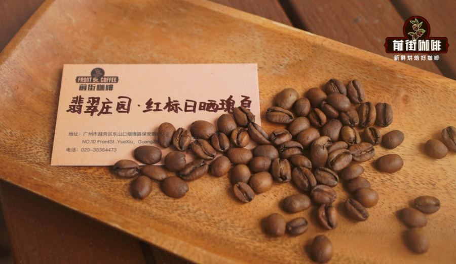 Panama Finca Geisha Green Leaf Analysis: How to Choose Between Purple and Red Labels? Pour Over Flavors and Region Introduction