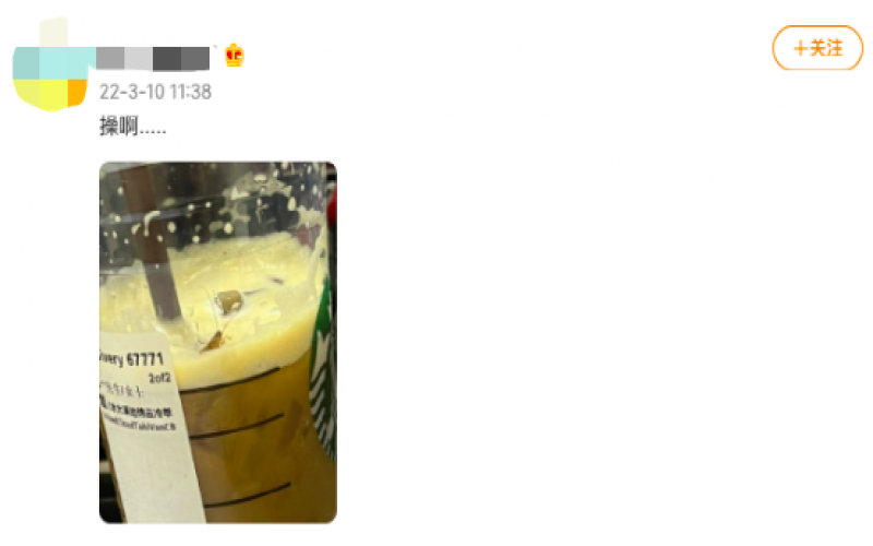 Full Analysis of the Starbucks Insect Incident: The Truth, Investigation, and Food Safety Precautions