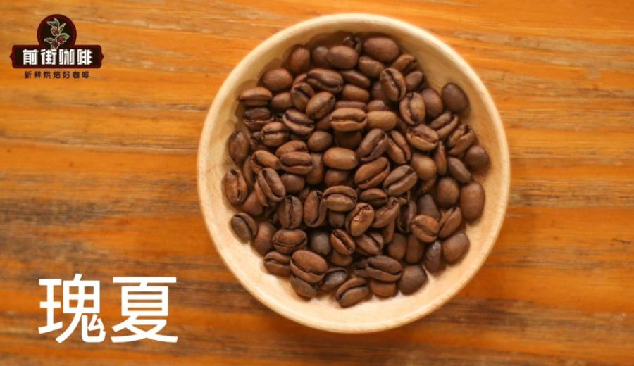 Why is Panamanian Geisha coffee so expensive? A complete guide to the differences between Red Label and Green Label and pour-over brewing