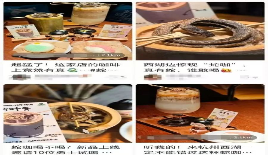 Hangzhou-exclusive Year of the Snake special drink debuts！Real dried snake decoration sparks conversation, flavor breakdown of Bai Suzhen & Green Bamboo