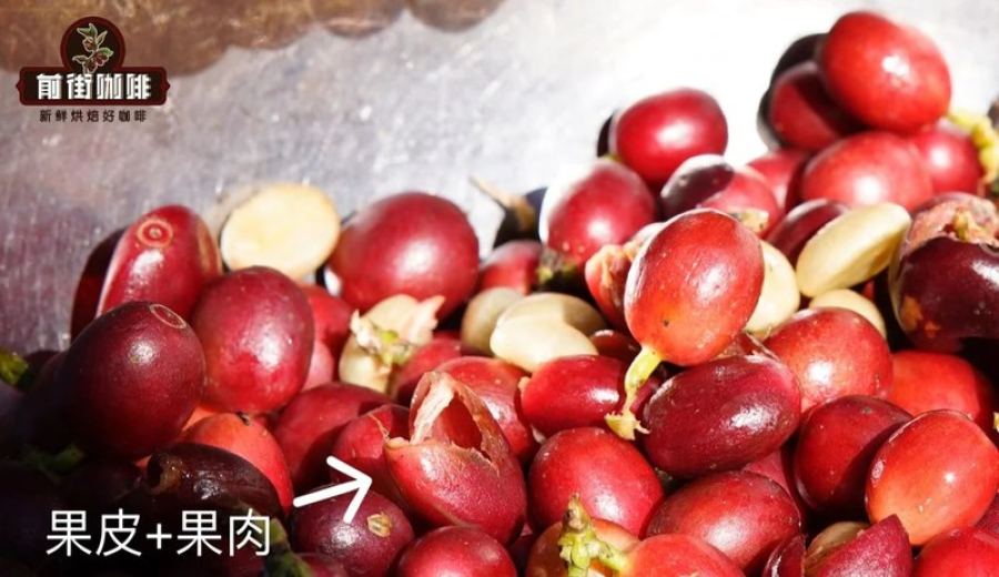 How to Capture the Aroma Golden Period of SOE? A Complete Pour Over & Espresso Guide from Roast Date to Opening the Bag